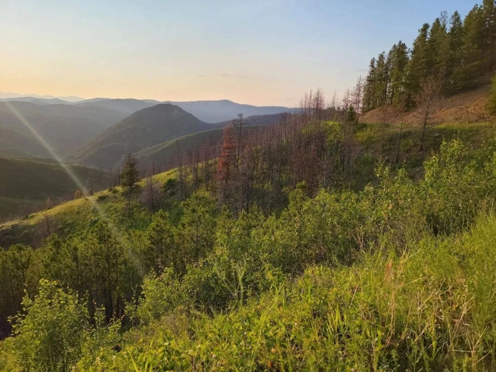 Zortman Landusky Gold Resource Property featured image