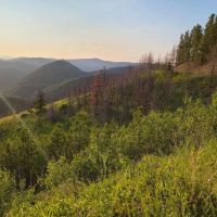Zortman Landusky Gold Resource Property