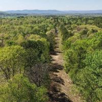 3 Acres in Polk County AR images 2