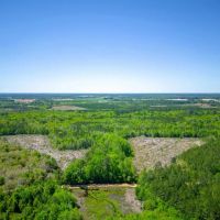 125 Acres of Pristine Wilderness on Metts-Overstreet Road