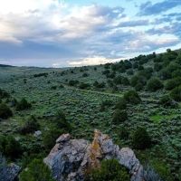 Maybell Grazing amp Big Game Ranch images 2