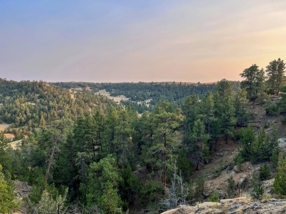 SAWMILL RANCH featured image