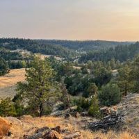 SAWMILL RANCH images 2