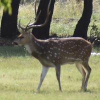 Dsc 0007
