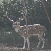 Dsc 0018