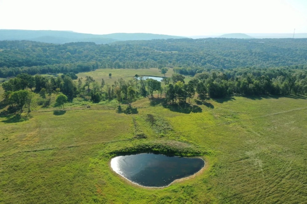 120 Acres of Land for Sale near Shirley Arkansas - Excellent Cattle Ground featured image