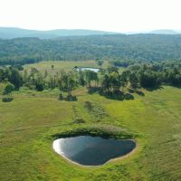 120 Acres of Land for Sale near Shirley Arkansas - Excellent Cattle Ground images 1