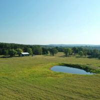 120 Acres of Land for Sale near Shirley Arkansas - Excellent Cattle Ground images 2
