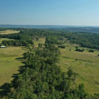 120 Acres of Land for Sale near Shirley Arkansas - Excellent Cattle Ground images 3