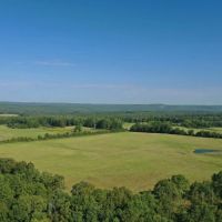 120 Acres of Land for Sale near Shirley Arkansas - Excellent Cattle Ground images 4
