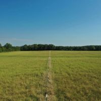 120 Acres of Land for Sale near Shirley Arkansas - Excellent Cattle Ground images 5