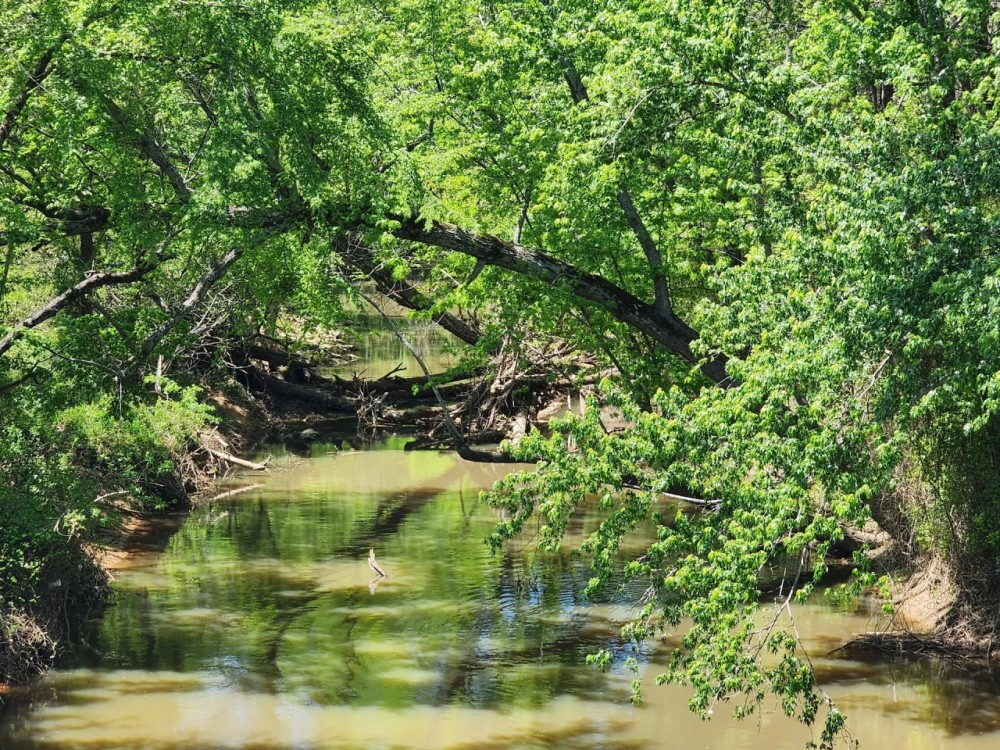WIlburton acreage featured image