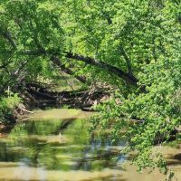 WIlburton acreage