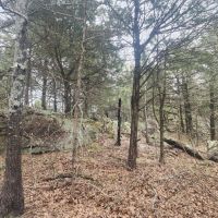 WIlburton acreage images 3