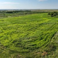 Spurs Furs Ranch images 3