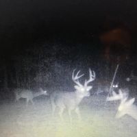 43 Acres in Holmes County MS images 2