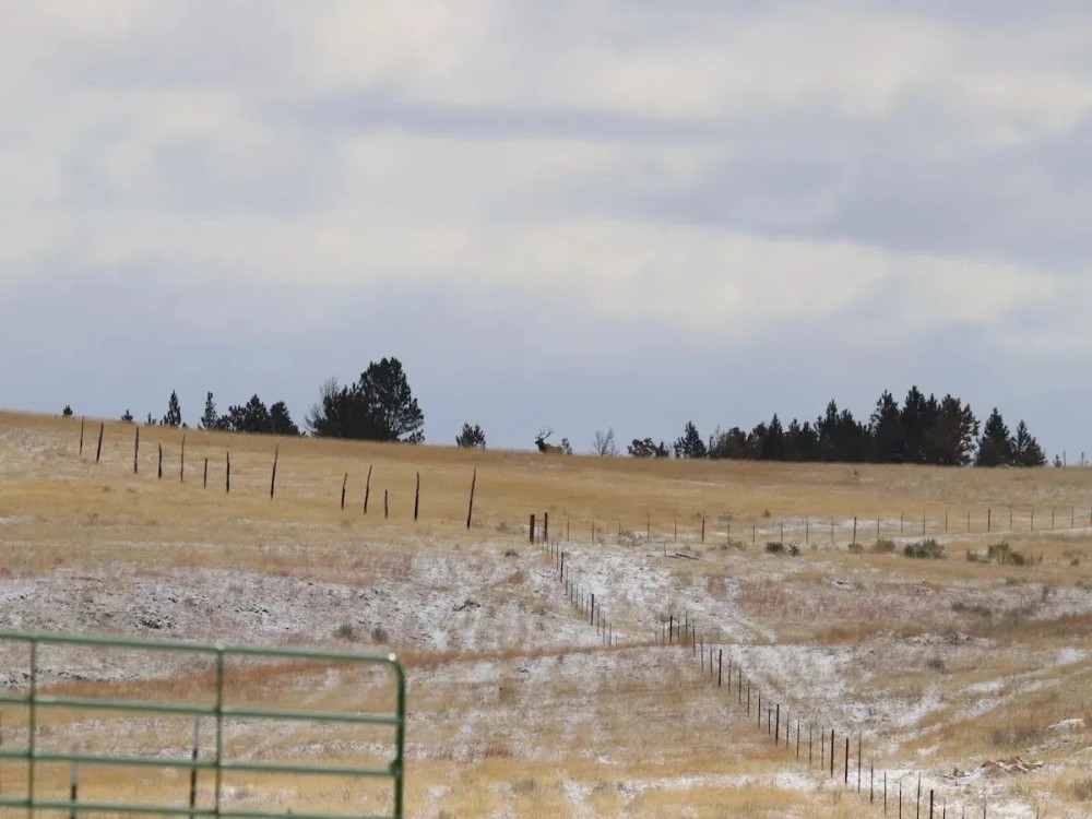 Conley Ranch featured image