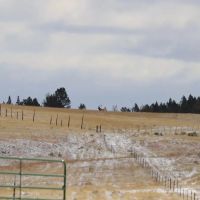 Conley Ranch