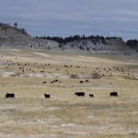 Conley Ranch images 3