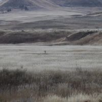 Conley Ranch images 4
