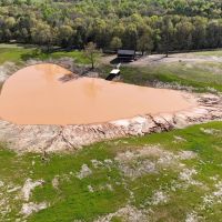 53.5 Acres with a Cabin in Hardeman County TN images 3