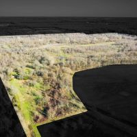 Texas Prime Hunting Land For Sale Sumner TX images 2