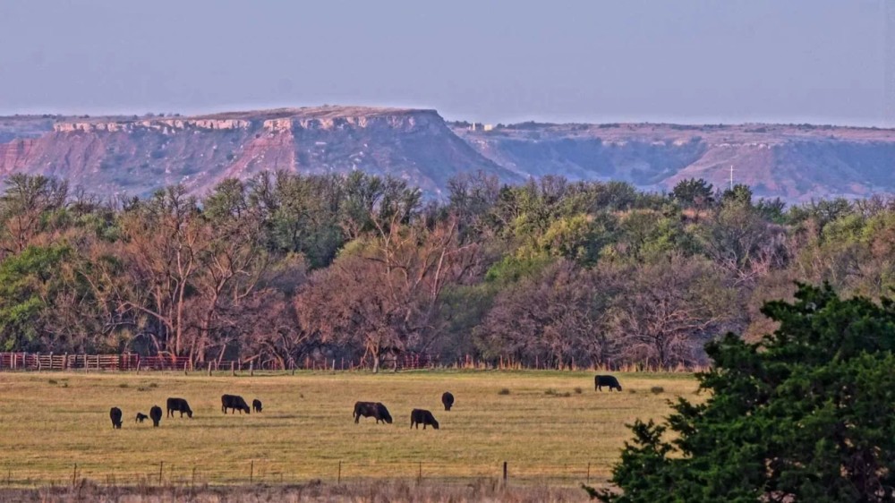 Cottonwood Corners Ranch featured image