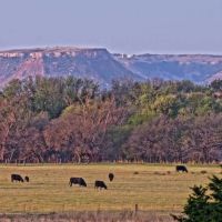 Cottonwood Corners Ranch