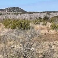 New Listing 75 Acres Taylor County