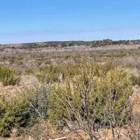 New Listing 75 Acres Taylor County images 2