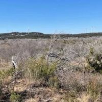 New Listing 75 Acres Taylor County images 3