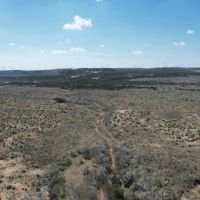 New Listing 75 Acres Taylor County images 5