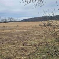 Farmhouse on 35 Country Acres with Outbuildings in Smyrna NY 1348 State Highway 80 images 4