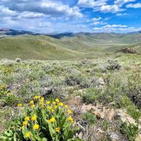 Two Forks Ranch images 2