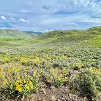 Two Forks Ranch images 4