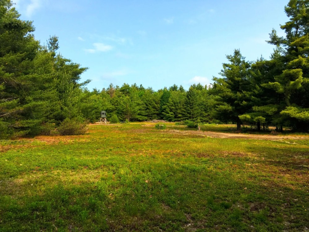 28 acre Creek Front Hunting Land Pitcairn NY featured image
