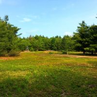 28 acre Creek Front Hunting Land Pitcairn NY