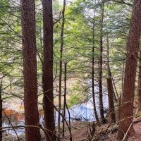28 acre Creek Front Hunting Land Pitcairn NY images 2