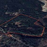 28 acre Creek Front Hunting Land Pitcairn NY images 4