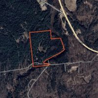 28 acre Creek Front Hunting Land Pitcairn NY images 5