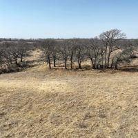 Richland Springs 80 Acres images 3