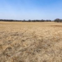 Richland Springs 80 Acres images 4