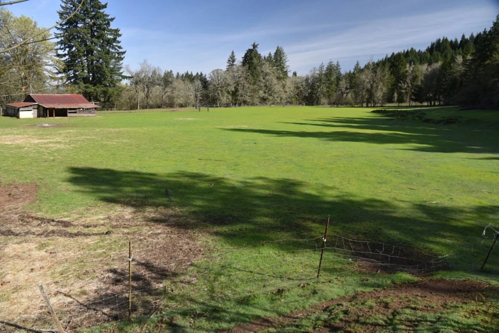 53 Acres on Mill Creek - replacement dwelling - buildable per county featured image