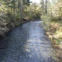 53 Acres on Mill Creek - replacement dwelling - buildable per county images 4