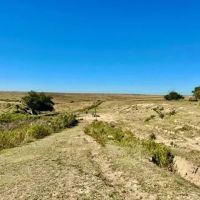 1 220-Acre Farm Ranch in Frontier County NE images 5