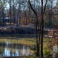 Diana Ranch - Texas Recreational Ranch for Sale in Upshur County