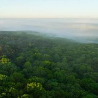 Large Recreational Tract With A Home In The Heart Of The Ozarks