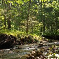 Large Recreational Tract With A Home In The Heart Of The Ozarks images 3