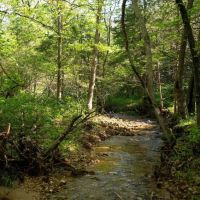 Large Recreational Tract With A Home In The Heart Of The Ozarks images 4