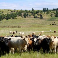 South Deer Creek Ranch